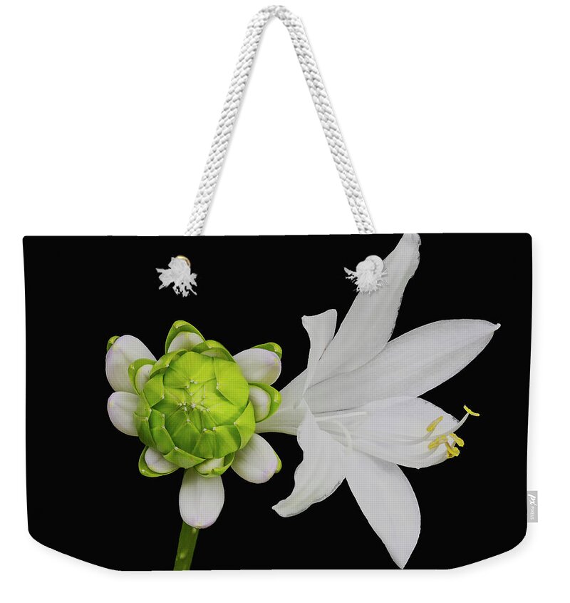 Blooming Weekender Tote Bag featuring the photograph Royal Standard Hosta by Charles Floyd