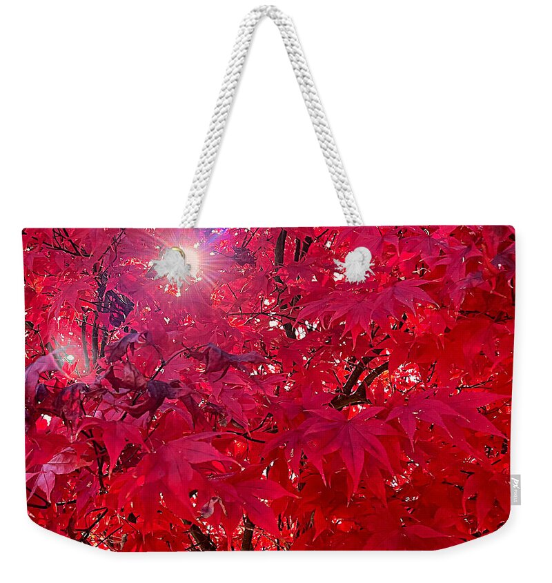Red Weekender Tote Bag featuring the photograph Rrrrred by Lee Darnell