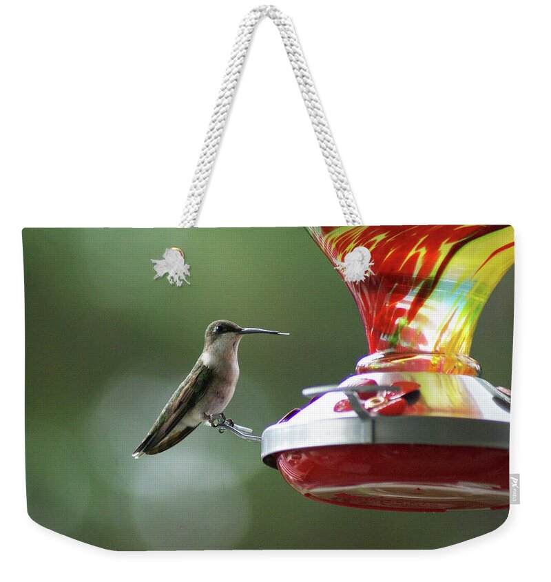  Weekender Tote Bag featuring the photograph Ruby Female by Heather E Harman