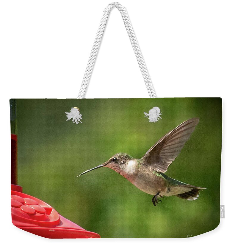Nature Weekender Tote Bag featuring the photograph Ruby hovering by Barry Bohn