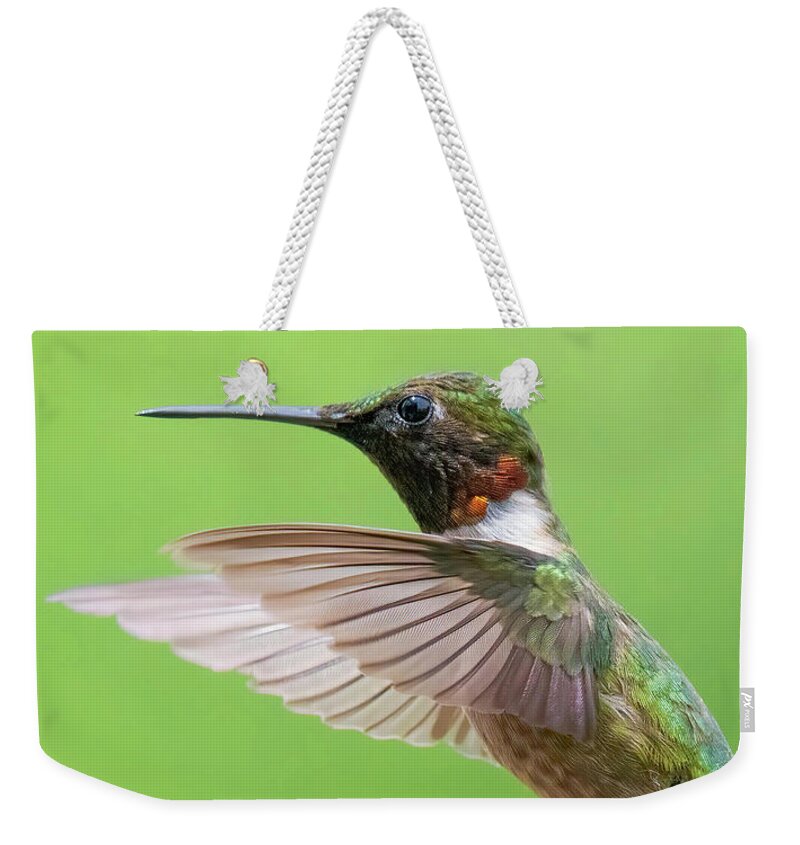 Hummingbirds Weekender Tote Bag featuring the photograph Ruby by Linda Shannon Morgan