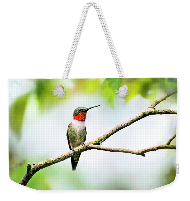 Hummingbird Weekender Tote Bag featuring the photograph Ruby Throated Hummingbird by Christina Rollo