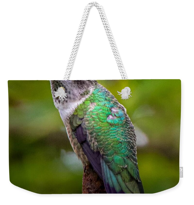 Hummingbird Weekender Tote Bag featuring the photograph Ruby-throated Hummingbird Portrait by Susan Rydberg