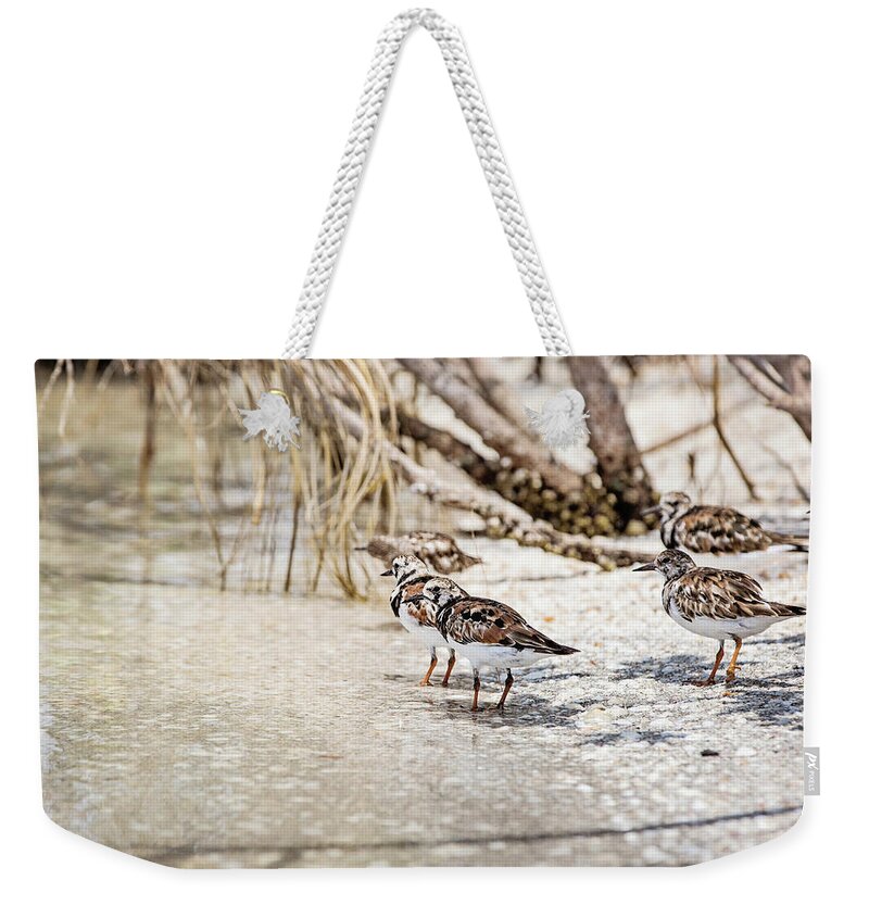Nature Weekender Tote Bag featuring the photograph Ruddy Turnstone by Scott Pellegrin
