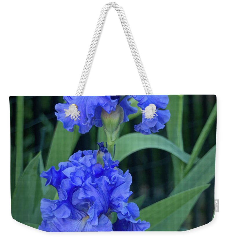 Iris Weekender Tote Bag featuring the digital art Ruffled Blue Iris Duo by Amy Dundon