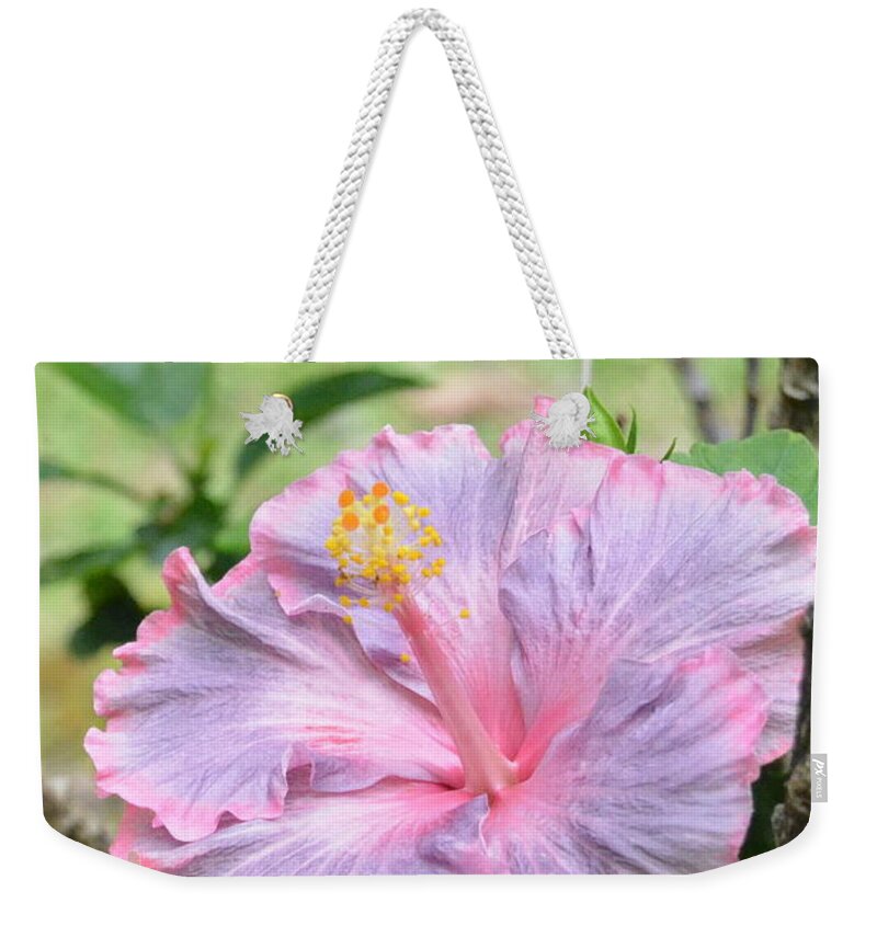 Flower Weekender Tote Bag featuring the photograph Ruffled Purple Pink Hibiscus by Amy Fose