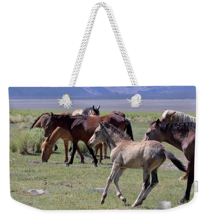 Eastern Sierra Weekender Tote Bag featuring the photograph Running Colt by Cheryl Strahl