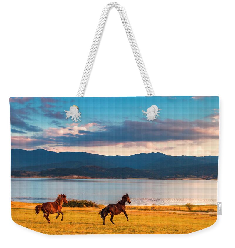 Animal Weekender Tote Bag featuring the photograph Running Horses by Evgeni Dinev