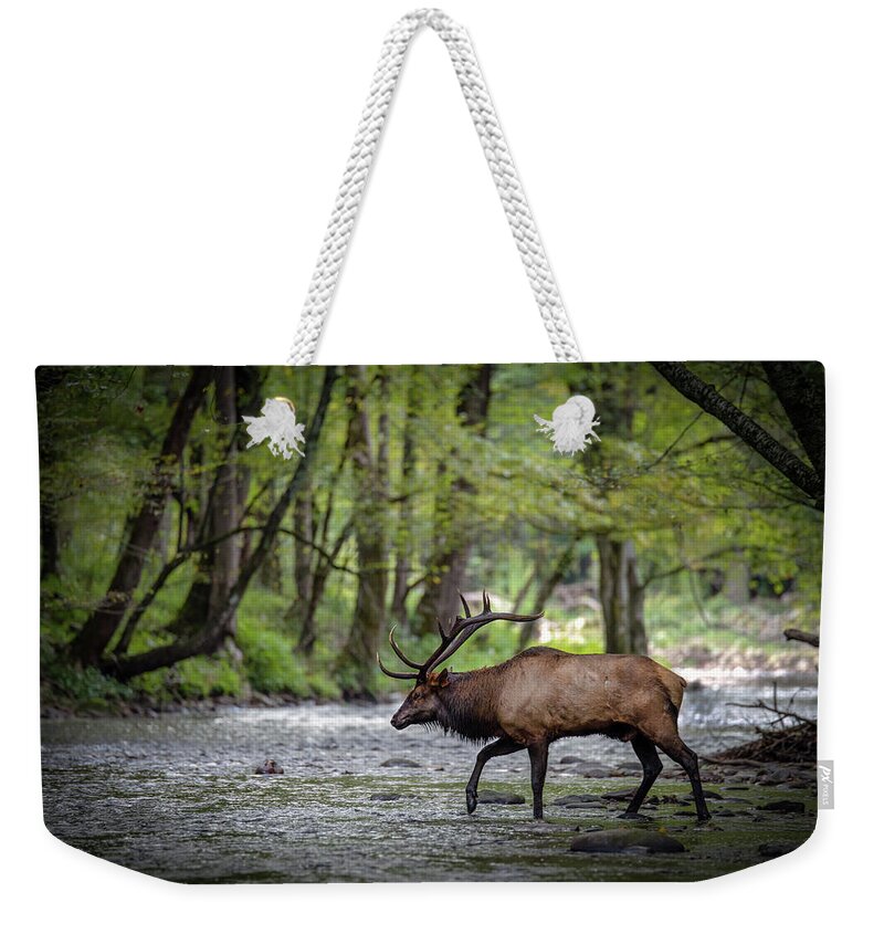 Great Smoky Mountains National Park Weekender Tote Bag featuring the photograph Rut Season in the Park by Robert J Wagner