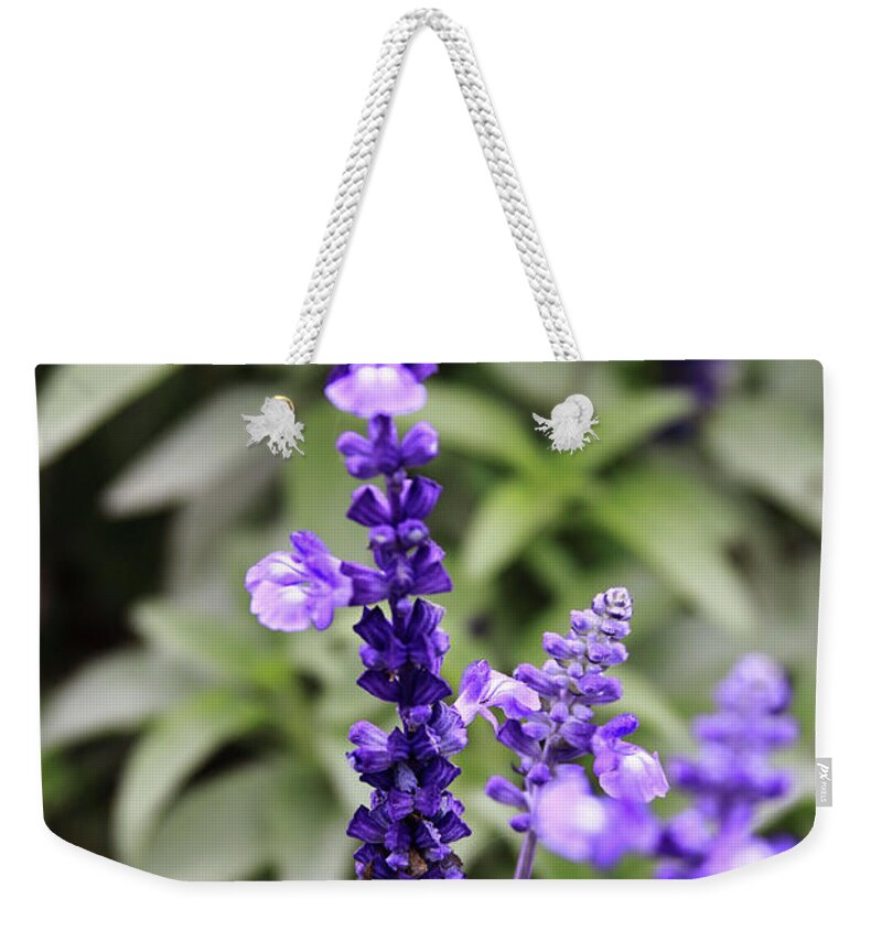 China Weekender Tote Bag featuring the photograph Sage Flowers by Tanya Owens