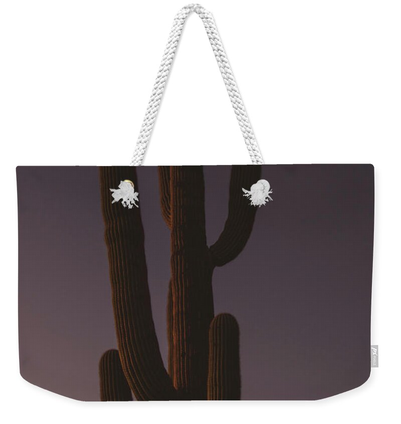 Saguaro Weekender Tote Bag featuring the photograph Saguaro 2 by Melisa Elliott