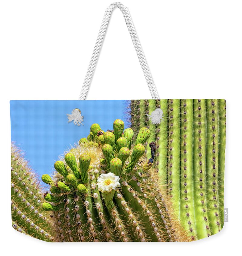 Saguaro Cactus In Bloom Weekender Tote Bag featuring the photograph Saguaro Cactus in Bloom by Carolyn Derstine