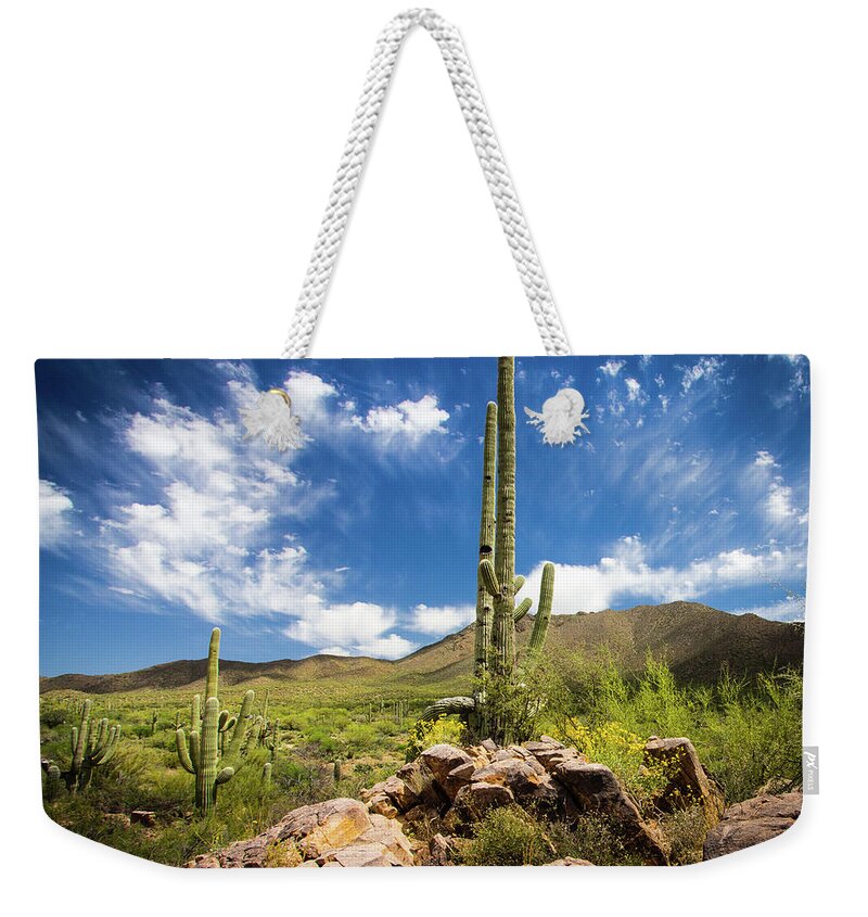 Saguaro Weekender Tote Bag featuring the photograph Saguaro Cactus under Azure Arizona Sky by Craig A Walker