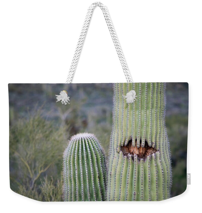 Saguaro Weekender Tote Bag featuring the photograph Saguaro Smile by Bonny Puckett