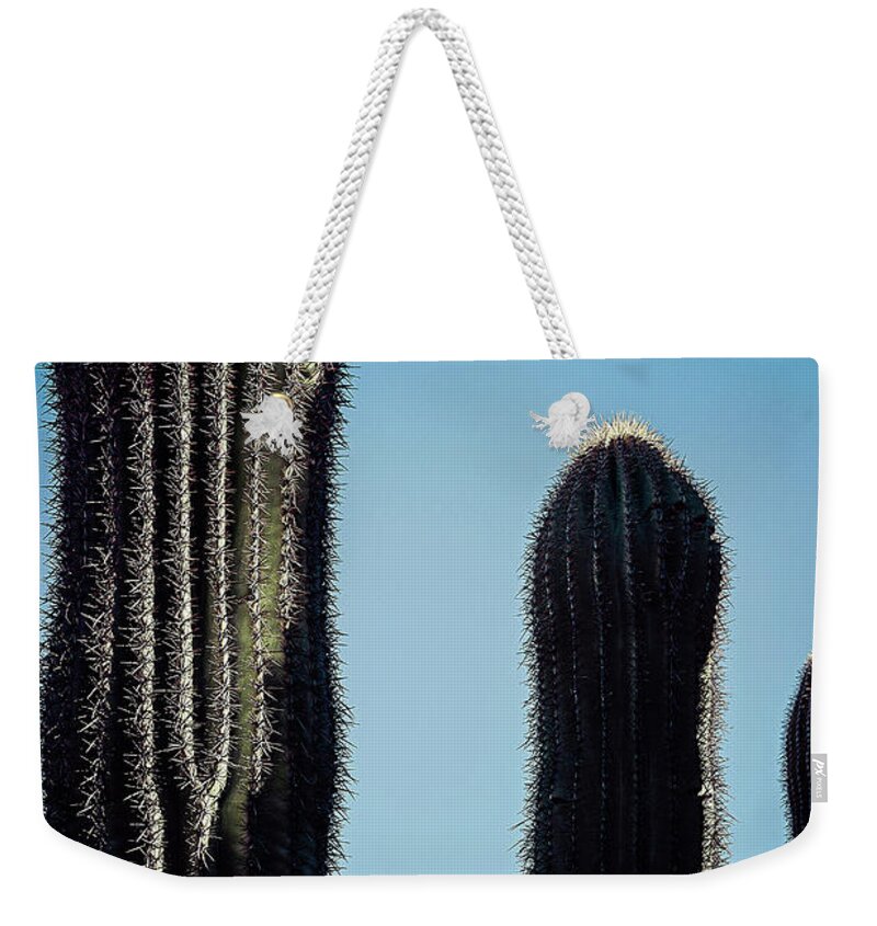 Arid Weekender Tote Bag featuring the photograph Saguaro Stand by Jennifer Wright