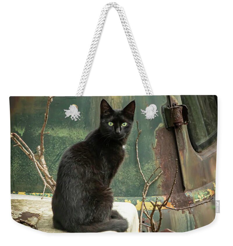 Cat Weekender Tote Bag featuring the photograph Salvage Yard Black Cat by Kristia Adams