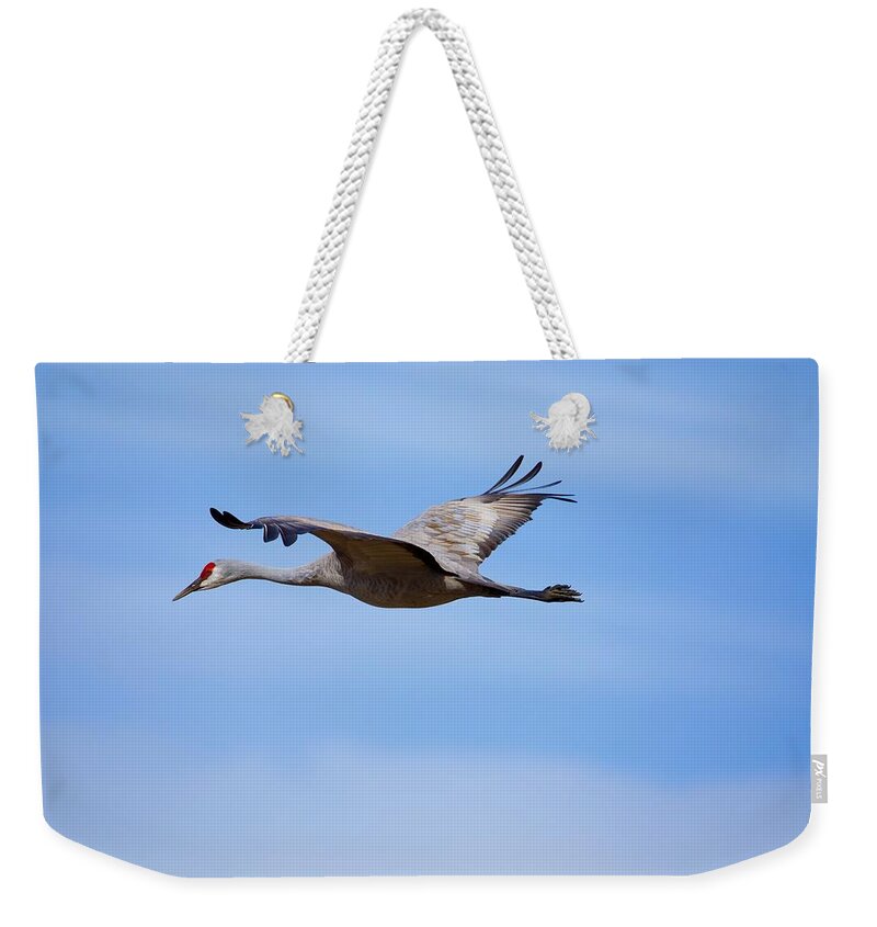 Sandhill Crane Flying By Weekender Tote Bag featuring the photograph Sandhill Crane flying by by Lynn Hopwood