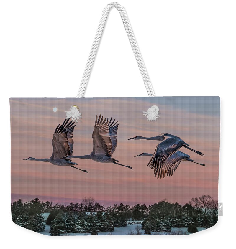 Sandhill Crane Weekender Tote Bag featuring the photograph Sandhill Cranes in Flight by Patti Deters