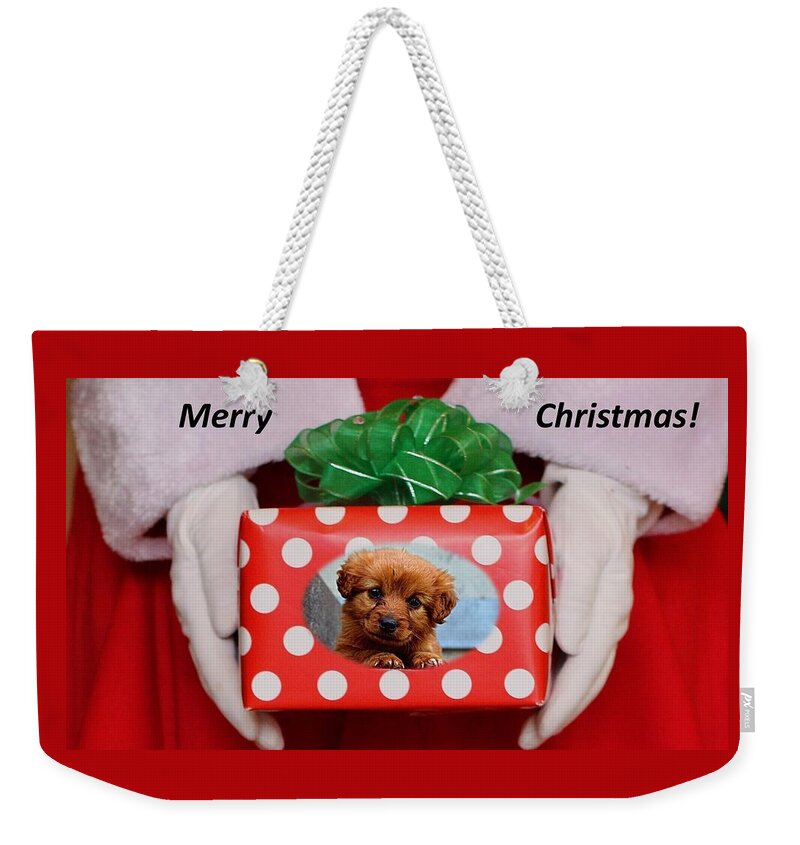 Christmas Weekender Tote Bag featuring the photograph Santa Brings A Puppy by Nancy Ayanna Wyatt