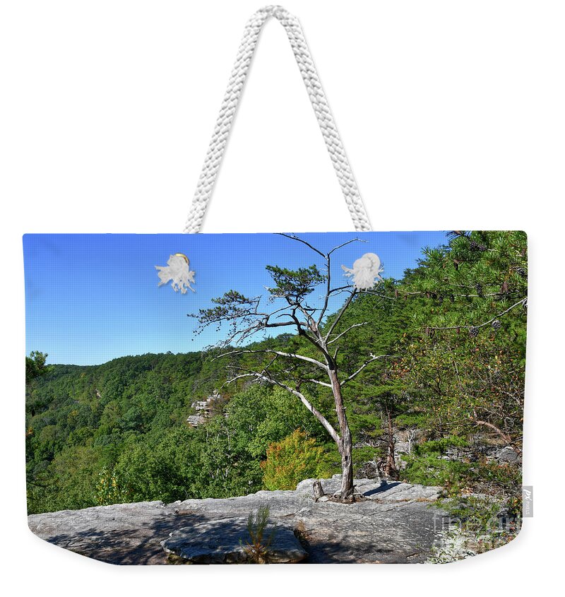 Savage Gulf Weekender Tote Bag featuring the photograph Savage Gulf 16 by Phil Perkins