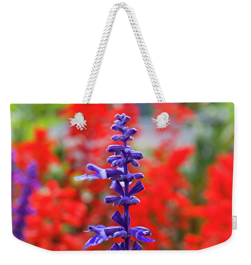 Scarlet Sage Weekender Tote Bag featuring the photograph Scarlet Sage _7873 by Rocco Leone