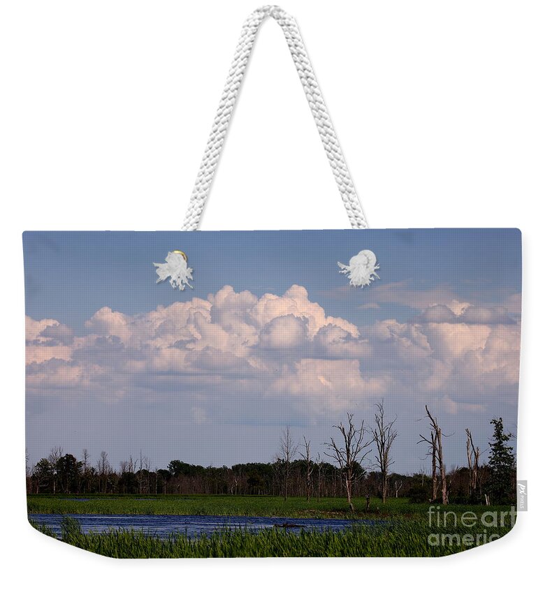 Iroquois Marshes Weekender Tote Bag featuring the photograph Scenes from the Wildlife Area by Tony Lee
