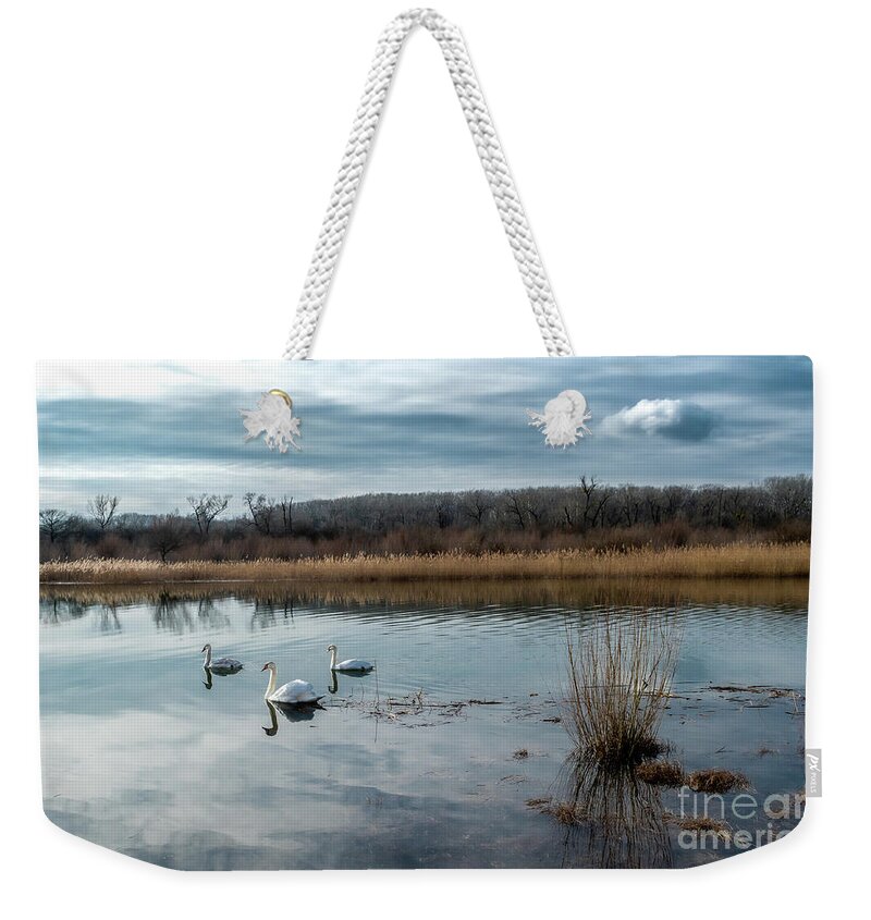 Abandoned Weekender Tote Bag featuring the photograph Scenic Landscape With Swan And Abandoned Meander In The National Park Danube Wetlands In Austria by Andreas Berthold