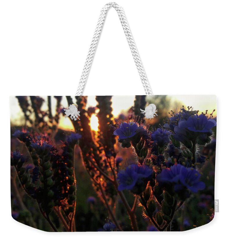 Arizona Wildflowers Weekender Tote Bag featuring the photograph Scorpion Weed Sunset by Gene Taylor