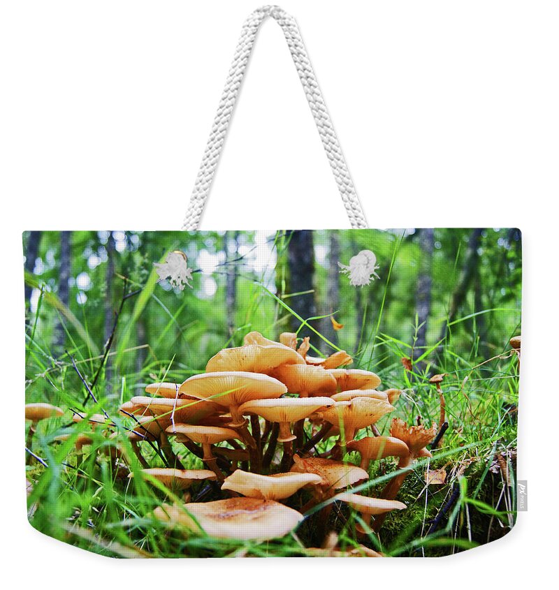 Mushrooms Weekender Tote Bag featuring the photograph SCOTLAND. Killiecrankie Mushrooms. by Lachlan Main
