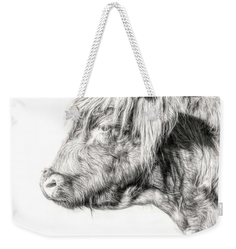 Scottish Highland Profile Weekender Tote Bag featuring the photograph Scottish Highland Profile by Wes and Dotty Weber