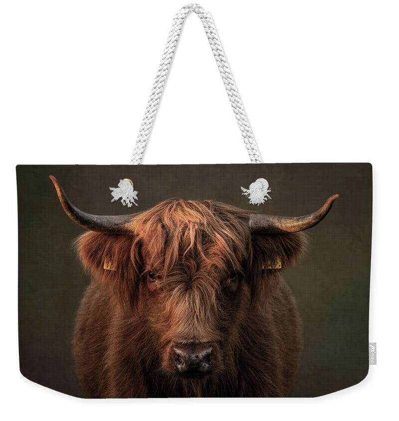 Scottish Highlander Weekender Tote Bag featuring the digital art Scottish Highlander Portrait in brown by Marjolein Van Middelkoop