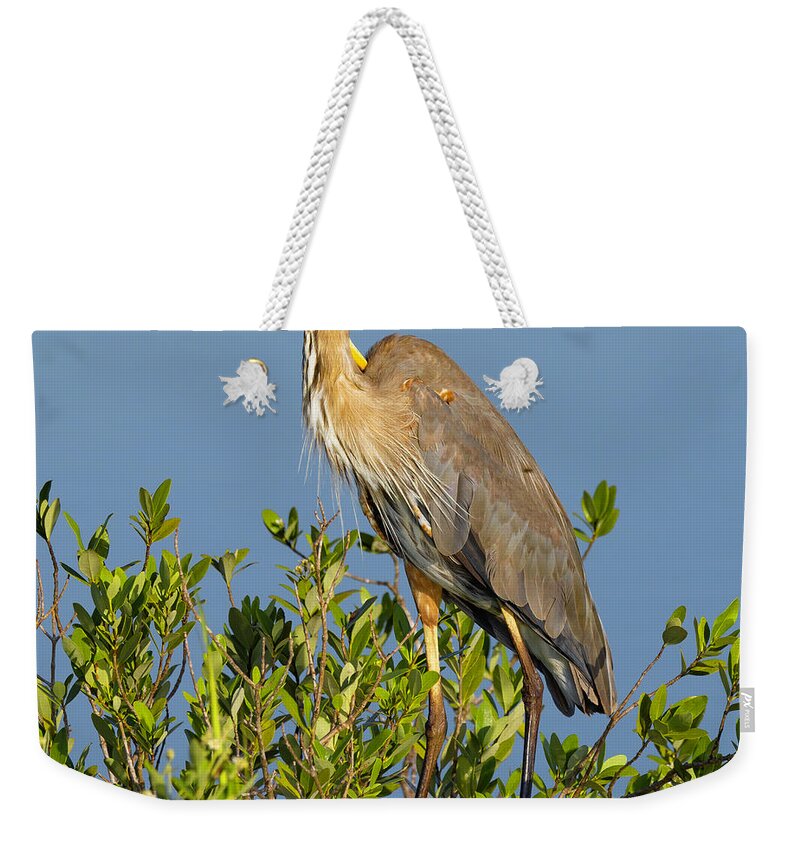 R5-2652 Weekender Tote Bag featuring the photograph Scratch that Itch by Gordon Elwell