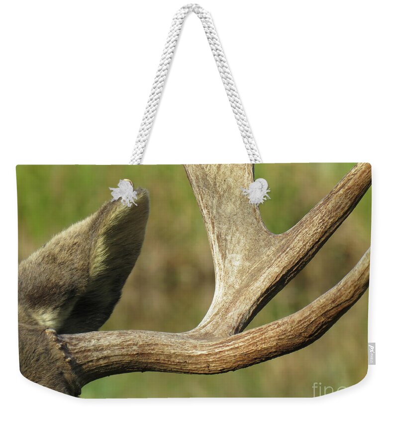 Nature Weekender Tote Bag featuring the photograph Sculpted Antlers by Mary Mikawoz