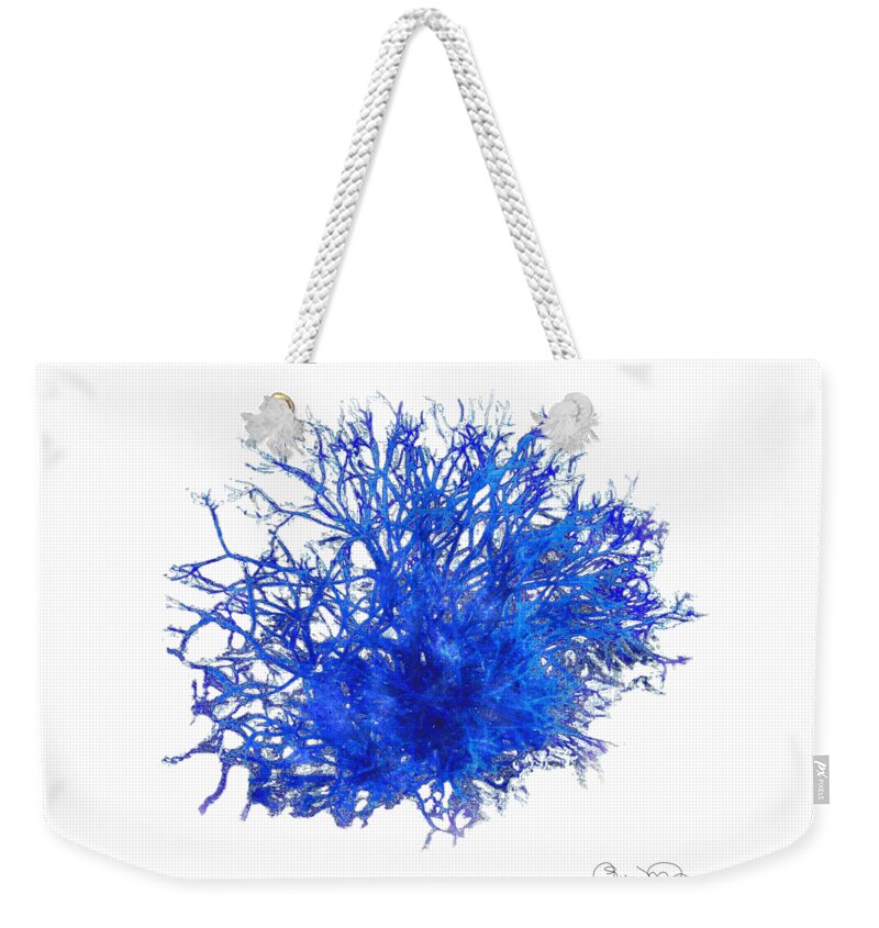 Sea Coral Twist 15 Weekender Tote Bag featuring the photograph Sea Coral Twist 15 by Susan Molnar