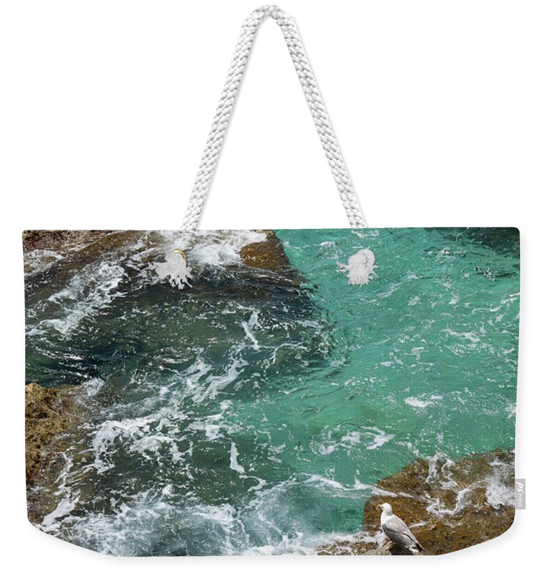 Mediterranean Weekender Tote Bag featuring the photograph Seagull watches the cliffs and the Mediterranean Sea by Adriana Mueller