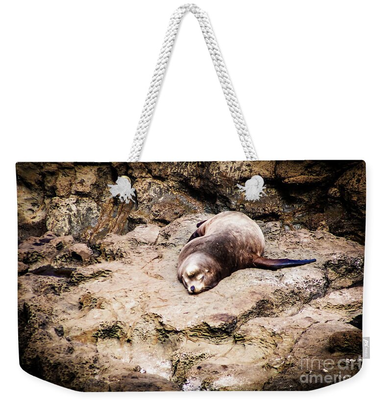 Sea Lion Weekender Tote Bag featuring the photograph Sea Lion Sleeping by Janie Johnson