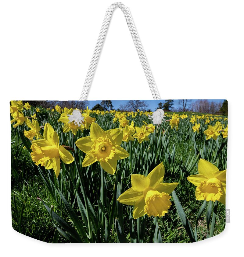 Spring Weekender Tote Bag featuring the photograph Sea of Daffodils by Kevin Suttlehan