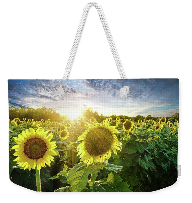 Sunflowers Weekender Tote Bag featuring the photograph Sea of Sunshine by Randall Allen