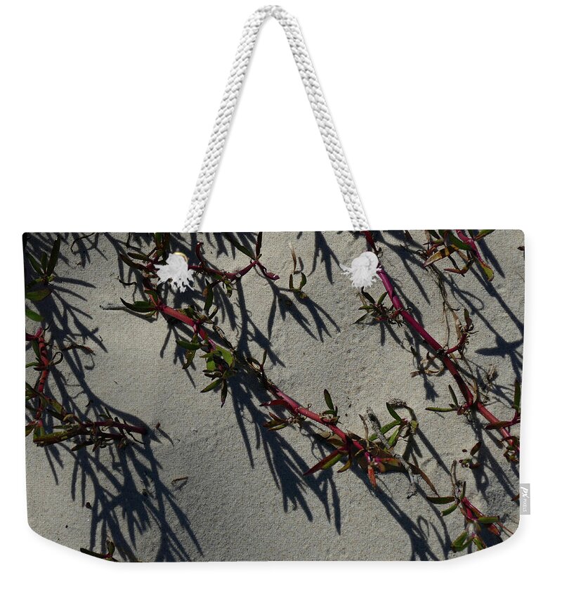 Aizoaceae Weekender Tote Bag featuring the photograph Sea Purslane Abstract by Maryse Jansen