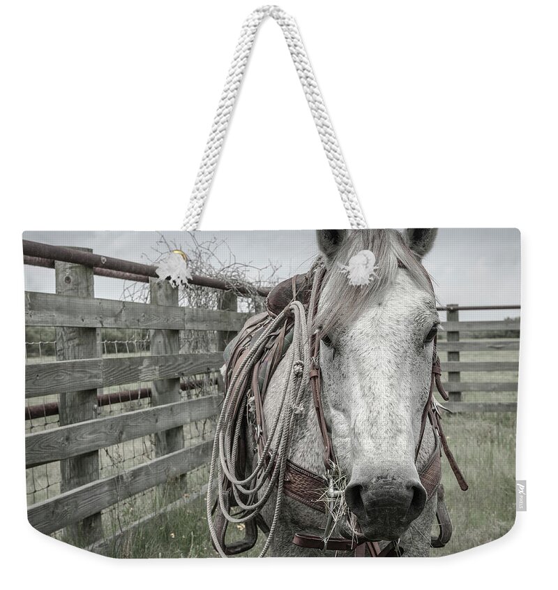 Cliburn Ranch Weekender Tote Bag featuring the photograph Seadrift, Texas by Maresa Pryor-Luzier