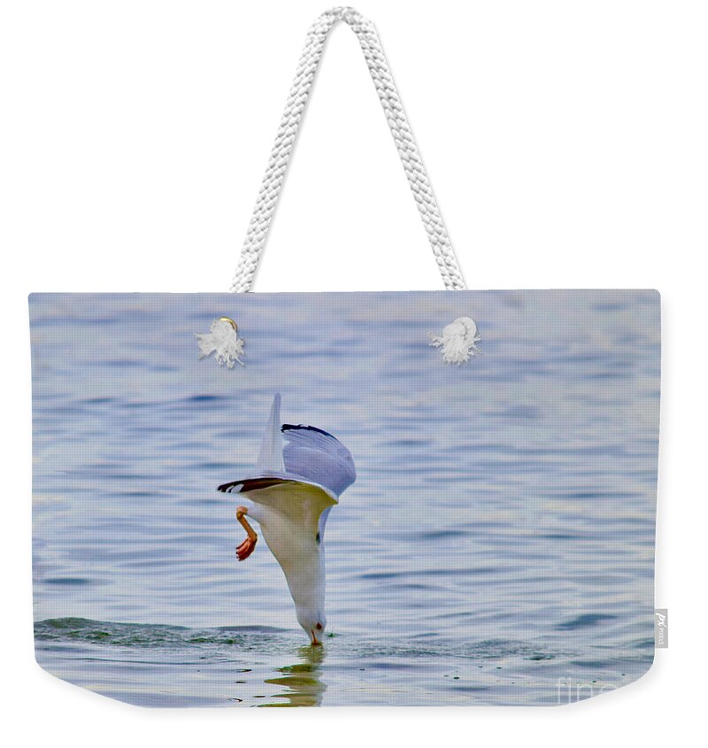 Seagull Weekender Tote Bag featuring the photograph Seagull Ocean Nose Dive by Debra Banks