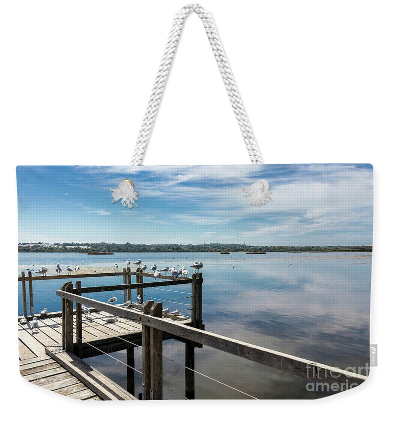 Seagulls Weekender Tote Bag featuring the photograph Seagulls at Lake Joondalup, Western Australia 2 by Elaine Teague
