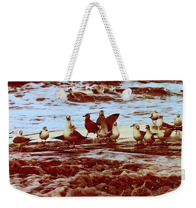 Photograph Birds Sea Shore Weekender Tote Bag featuring the photograph Seagulls on the Eastern Seaboard by Beverly Read