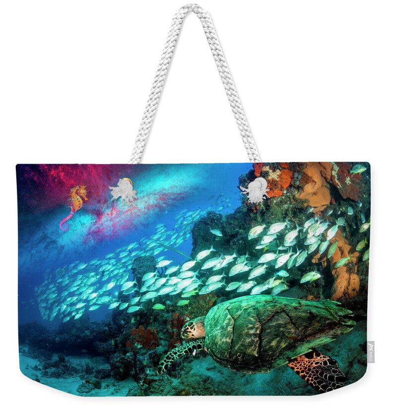 Clouds Weekender Tote Bag featuring the photograph Seahorse and Turtle by Debra and Dave Vanderlaan