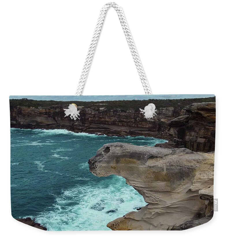Seal Weekender Tote Bag featuring the photograph Seal Rock by Andre Petrov