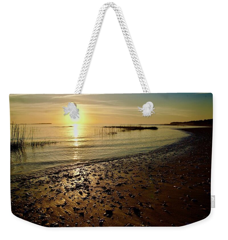 Seashells Weekender Tote Bag featuring the photograph Seashells On A Beach At Sunrise by Dennis Schmidt