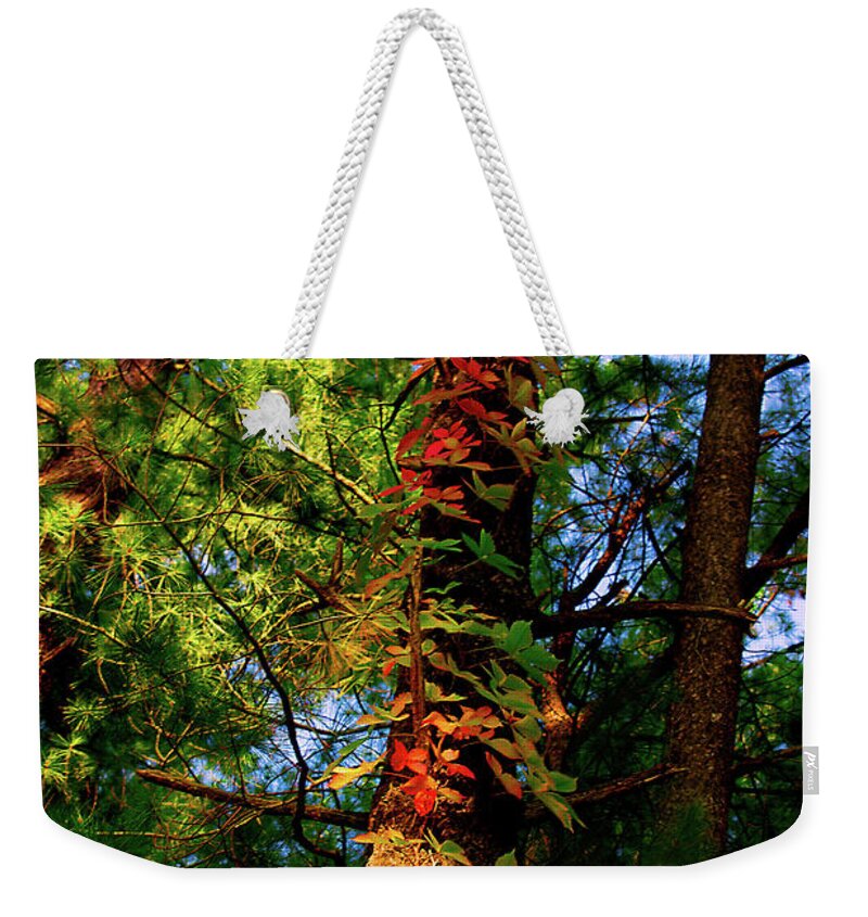Grapevine Weekender Tote Bag featuring the photograph Seasonal Drift by Cynthia Dickinson