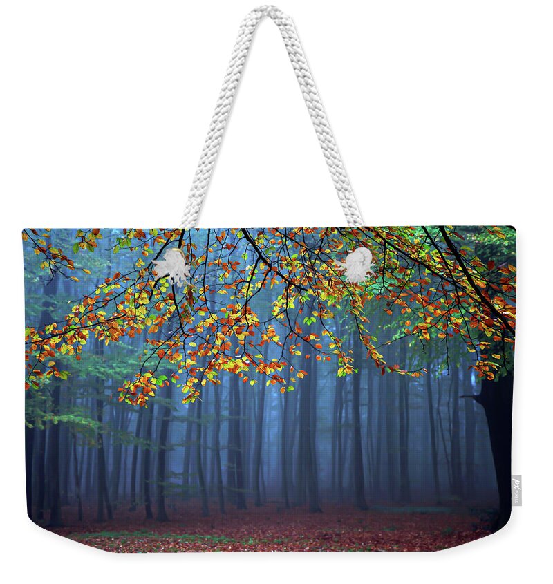 Autumn Weekender Tote Bag featuring the photograph Seconds Before The Light Went Out by Roeselien Raimond