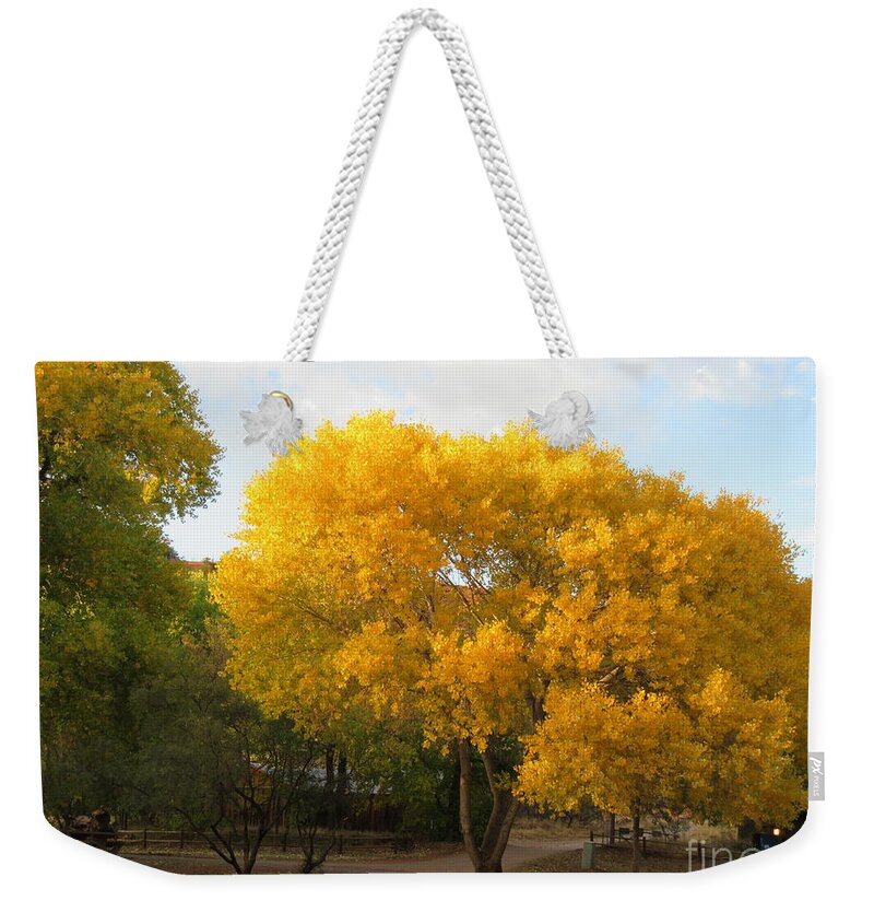 Sedona Weekender Tote Bag featuring the photograph Sedona Cottonwood Tree Autumn Yellow Glowing by Mars Besso