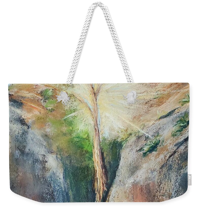  Weekender Tote Bag featuring the painting Sedona Hike by Maria Langgle
